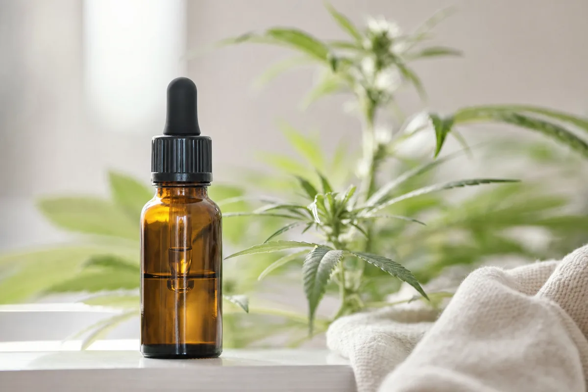 Medyczna marihuana na padaczkę lekooporną - CBD i Epidiolex
